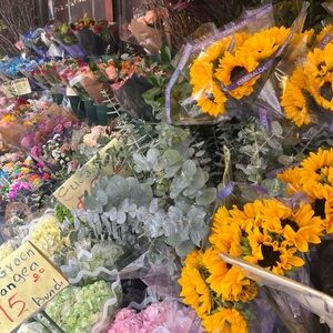 Meet your Posher, Shauna